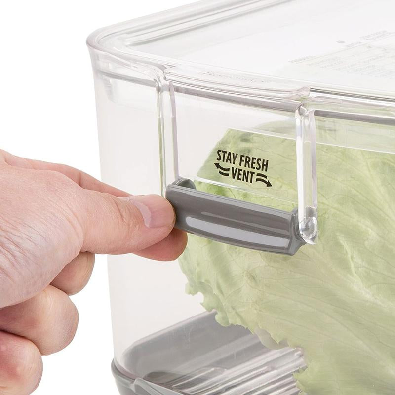 Progressive Large Produce Prokeeper | 5.7-Quart