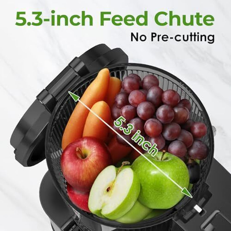 Masticating Juicer Machines, 350W Slow Cold Press Juicer with Stainless Steel