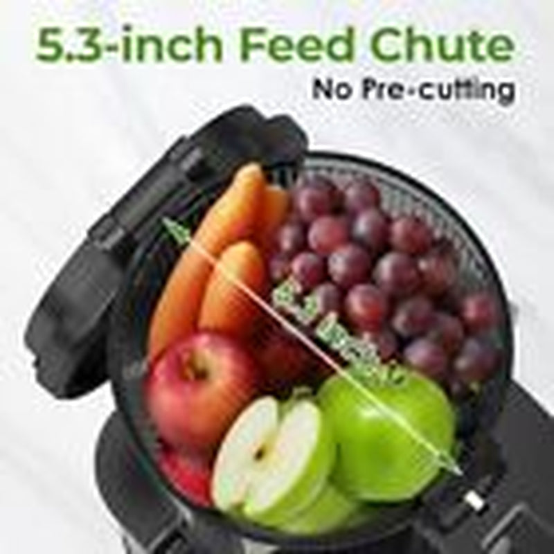 Masticating Juicer Machines, 350W Slow Cold Press Juicer with Stainless Steel