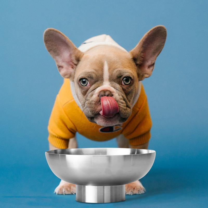 Luxurious Mirror-Finish Stainless Steel Bowls - Set of 2 for an Elevated Dining Experience