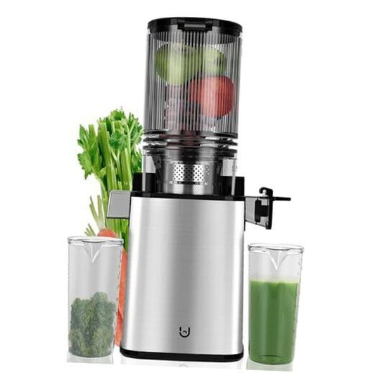Masticating Juicer Machines, 350W Slow Cold Press Juicer with Stainless Steel