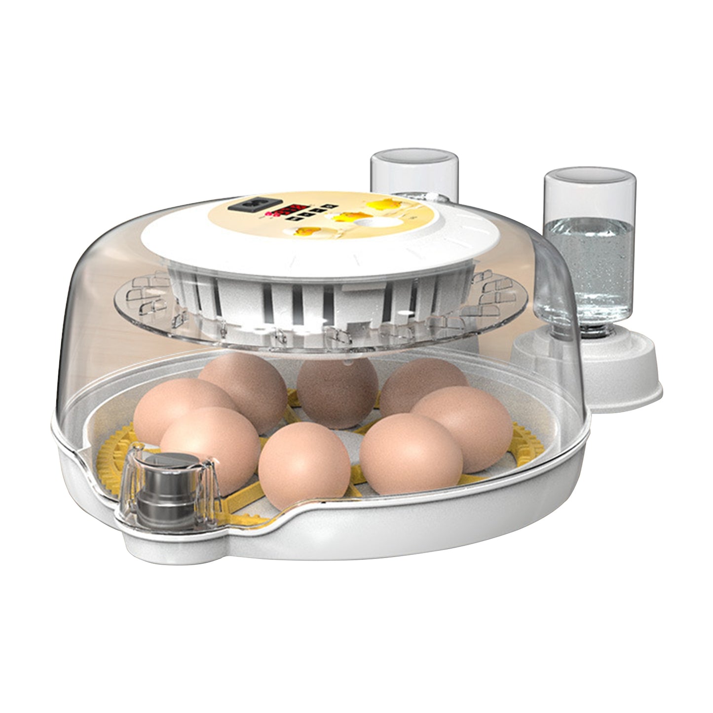 Egg Incubators with Automatic Temperature and Humidity Control, 360 Clear Egg Candler Egg Flipper 12 Single Batteries