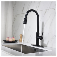 Single Handle Pull Down Kitchen Faucet with Dual Function Sprayhead