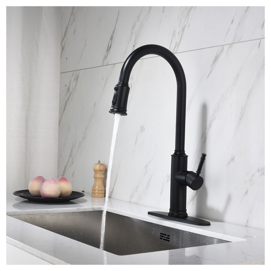 Single Handle Pull Down Kitchen Faucet with Dual Function Sprayhead