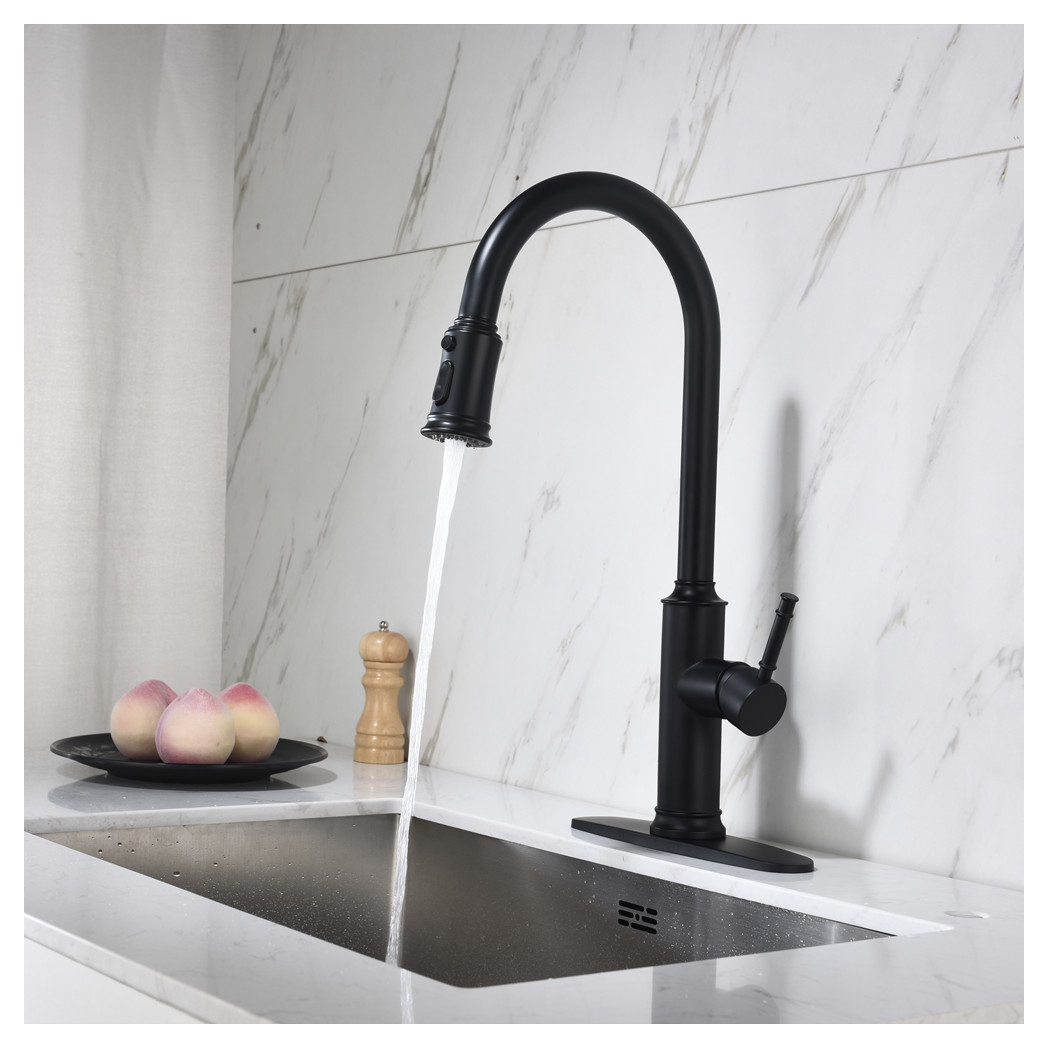 Single Handle Pull Down Kitchen Faucet with Dual Function Sprayhead