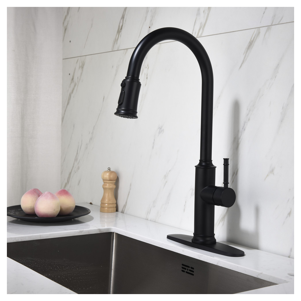 Single Handle Pull Down Kitchen Faucet with Dual Function Sprayhead
