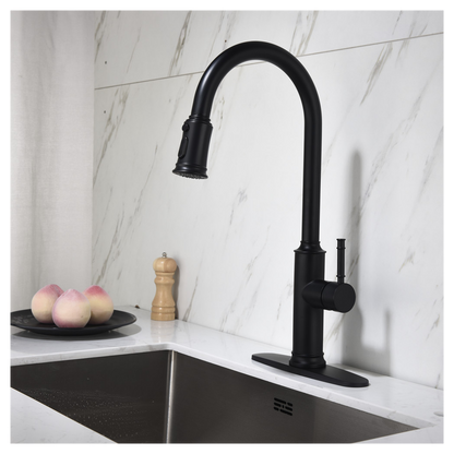 Single Handle Pull Down Kitchen Faucet with Dual Function Sprayhead