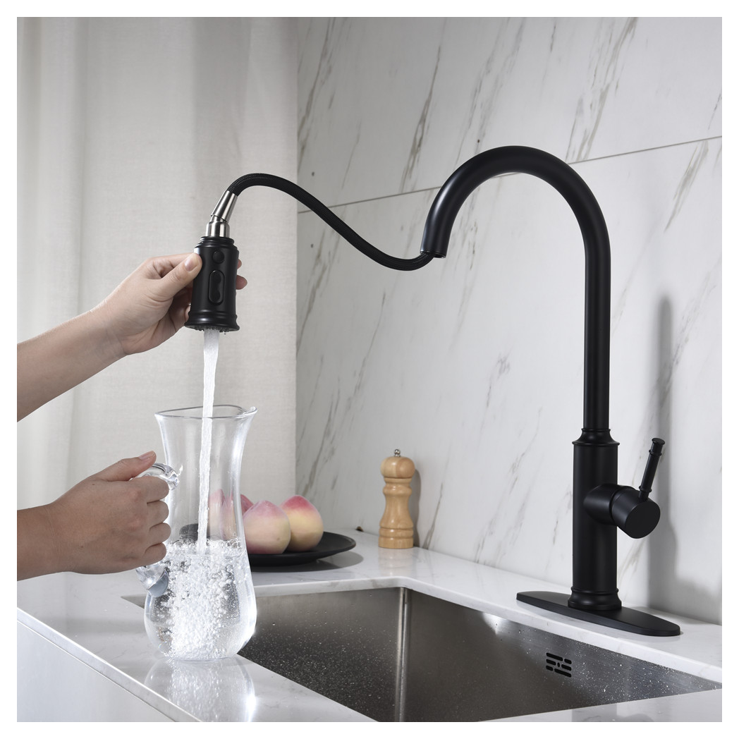 Single Handle Pull Down Kitchen Faucet with Dual Function Sprayhead