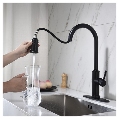 Single Handle Pull Down Kitchen Faucet with Dual Function Sprayhead