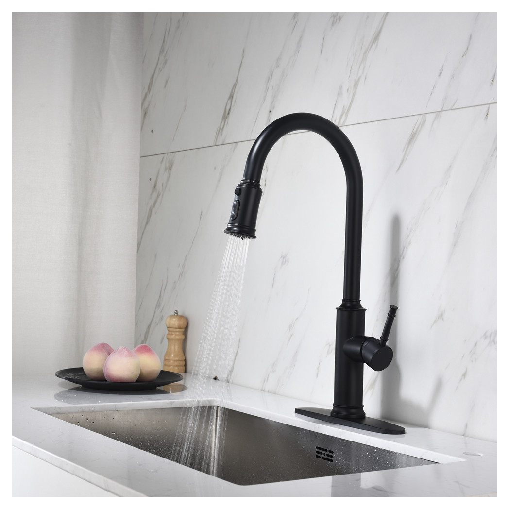 Single Handle Pull Down Kitchen Faucet with Dual Function Sprayhead