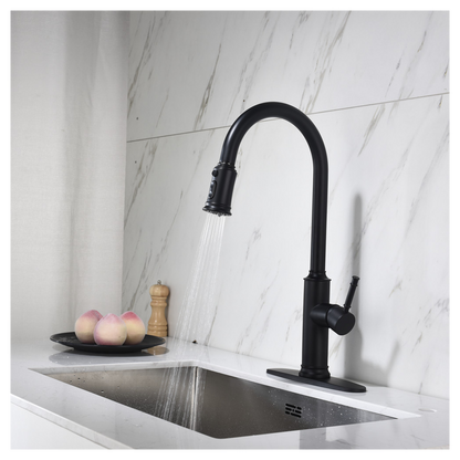 Single Handle Pull Down Kitchen Faucet with Dual Function Sprayhead