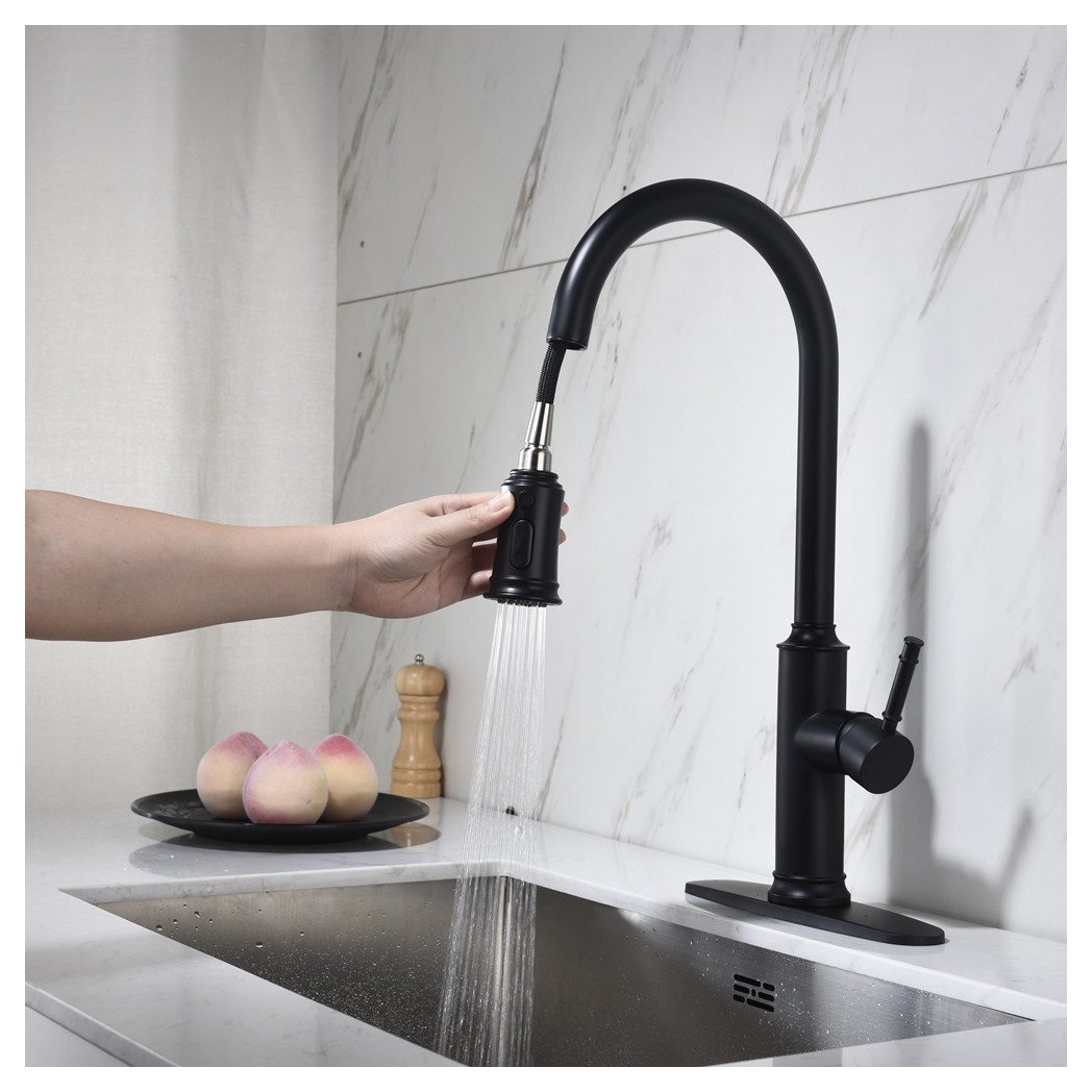 Single Handle Pull Down Kitchen Faucet with Dual Function Sprayhead