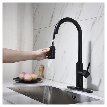 Single Handle Pull Down Kitchen Faucet with Dual Function Sprayhead