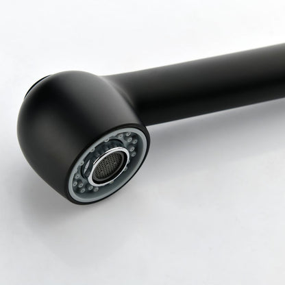 Single-Handle Pull-Out Sprayer Kitchen Faucet in Stainless Matte Black