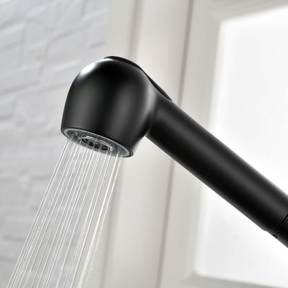 Single-Handle Pull-Out Sprayer Kitchen Faucet in Stainless Matte Black