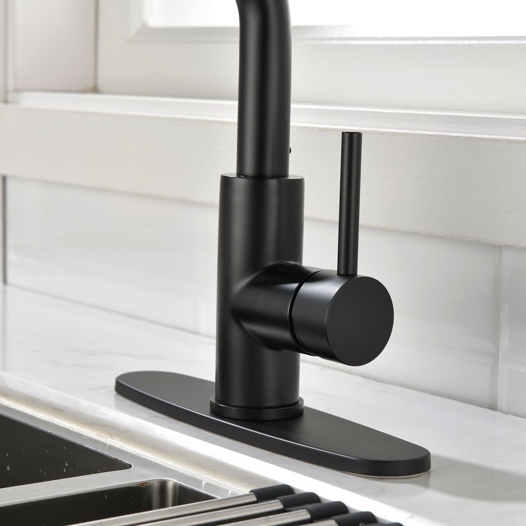 Single-Handle Pull-Out Sprayer Kitchen Faucet in Stainless Matte Black