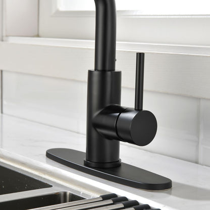 Single-Handle Pull-Out Sprayer Kitchen Faucet in Stainless Matte Black
